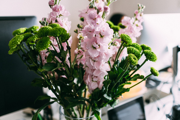 samule-sun-473508-unsplash