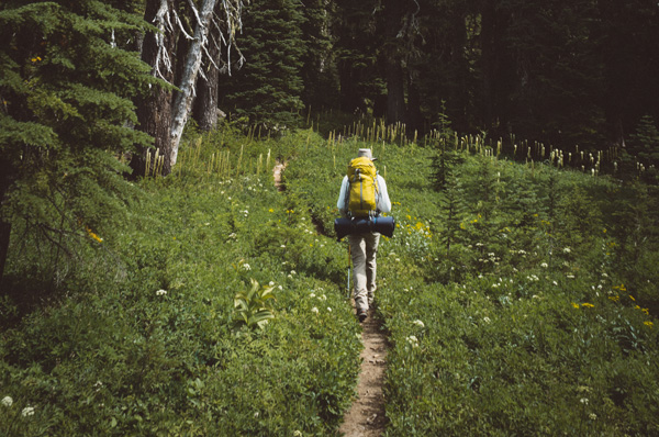 adrian-206123-unsplash